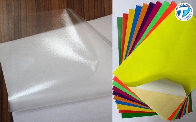 Decal (Decal PP, decal sữa, decal trong)
